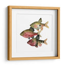 Pescado Del Arco Iris I - Emma Scarvey | Cuadro decorativo de Canvas Lab