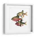 Pescado Del Arco Iris I - Emma Scarvey | Cuadro decorativo de Canvas Lab