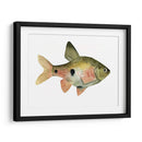 Arco Iris Fish Iii - Emma Scarvey | Cuadro decorativo de Canvas Lab