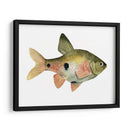 Arco Iris Fish Iii - Emma Scarvey | Cuadro decorativo de Canvas Lab