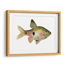 Arco Iris Fish Iii - Emma Scarvey | Cuadro decorativo de Canvas Lab