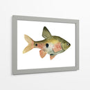 Arco Iris Fish Iii - Emma Scarvey | Cuadro decorativo de Canvas Lab
