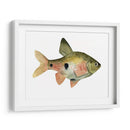 Arco Iris Fish Iii - Emma Scarvey | Cuadro decorativo de Canvas Lab