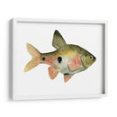 Arco Iris Fish Iii - Emma Scarvey | Cuadro decorativo de Canvas Lab