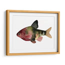 Arco Iris Fish Iv - Emma Scarvey | Cuadro decorativo de Canvas Lab