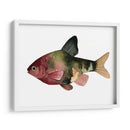Arco Iris Fish Iv - Emma Scarvey | Cuadro decorativo de Canvas Lab
