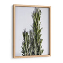 Romero - Chef Capellini | Cuadro decorativo de Canvas Lab