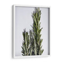 Romero - Chef Capellini | Cuadro decorativo de Canvas Lab