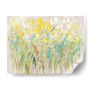 Cluster Floral I - Tim OToole | Cuadro decorativo de Canvas Lab