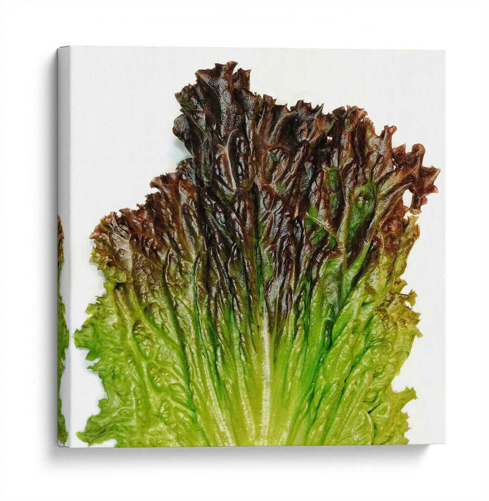 Sangría - Chef Capellini | Cuadro decorativo de Canvas Lab