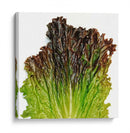 Sangría - Chef Capellini | Cuadro decorativo de Canvas Lab