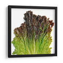 Sangría - Chef Capellini | Cuadro decorativo de Canvas Lab