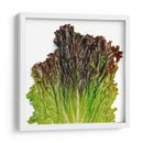 Sangría - Chef Capellini | Cuadro decorativo de Canvas Lab