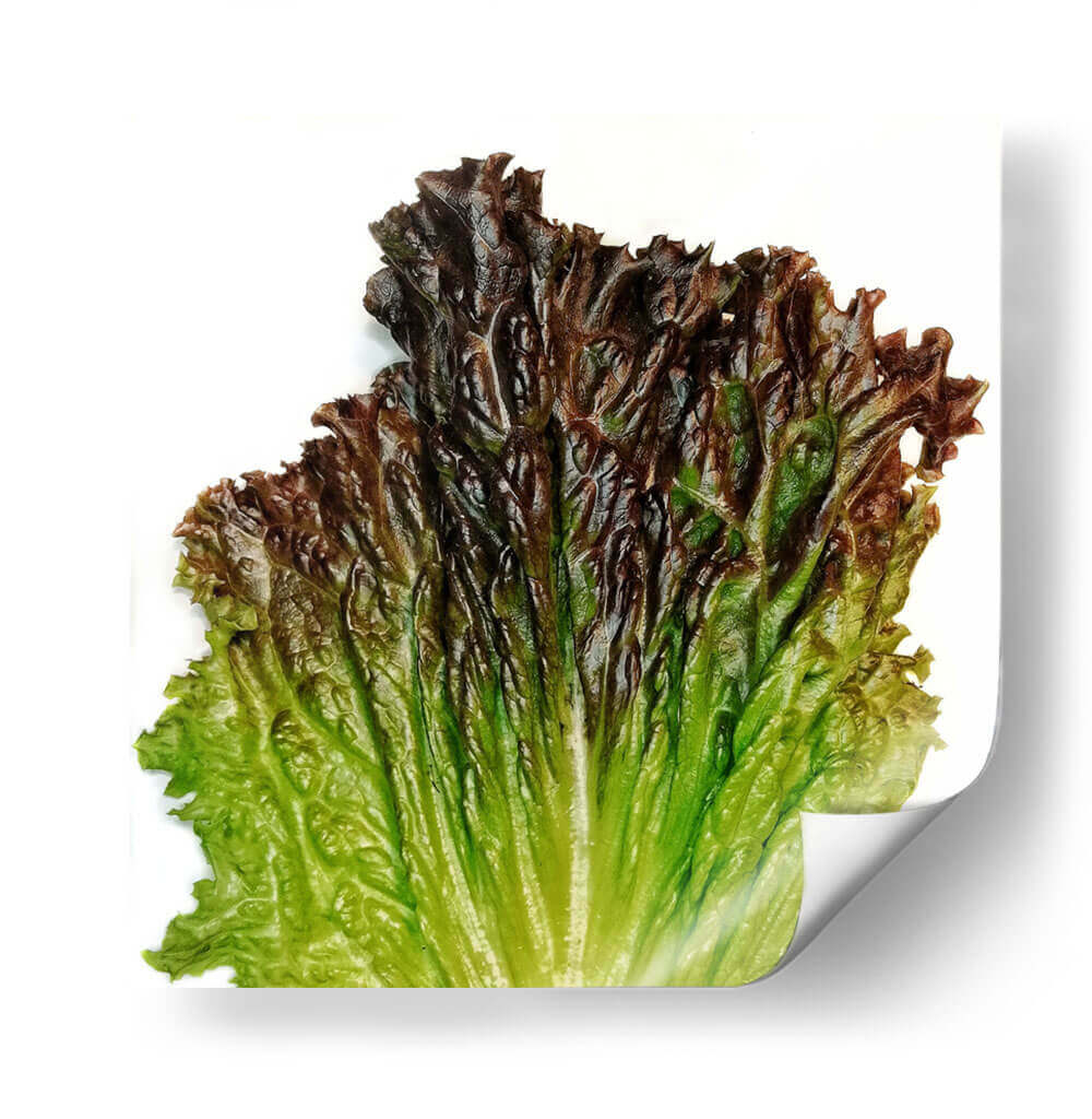 Sangría - Chef Capellini | Cuadro decorativo de Canvas Lab