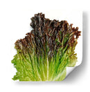 Sangría - Chef Capellini | Cuadro decorativo de Canvas Lab