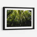 Bosque - Ariadne Contreras | Cuadro decorativo de Canvas Lab