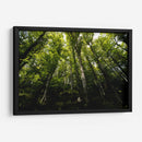 Bosque - Ariadne Contreras | Cuadro decorativo de Canvas Lab