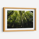 Bosque - Ariadne Contreras | Cuadro decorativo de Canvas Lab