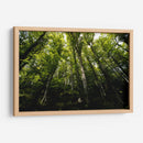 Bosque - Ariadne Contreras | Cuadro decorativo de Canvas Lab