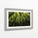 Bosque - Ariadne Contreras | Cuadro decorativo de Canvas Lab