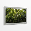 Bosque - Ariadne Contreras | Cuadro decorativo de Canvas Lab