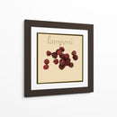 Fruta Italiana Iii - Vision Studio | Cuadro decorativo de Canvas Lab