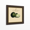 Fruta Italiana V - Vision Studio | Cuadro decorativo de Canvas Lab