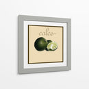 Fruta Italiana V - Vision Studio | Cuadro decorativo de Canvas Lab