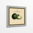Fruta Italiana V - Vision Studio | Cuadro decorativo de Canvas Lab