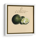 Fruta Italiana V - Vision Studio | Cuadro decorativo de Canvas Lab
