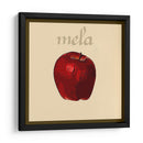 Fruta Italiana Viii - Vision Studio | Cuadro decorativo de Canvas Lab