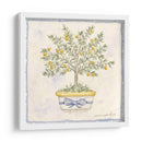 Topiary Francés I - Nancy S. Pallan | Cuadro decorativo de Canvas Lab