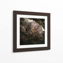 Luna Lit Peony I - Megan Meagher | Cuadro decorativo de Canvas Lab