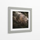 Luna Lit Peony I - Megan Meagher | Cuadro decorativo de Canvas Lab
