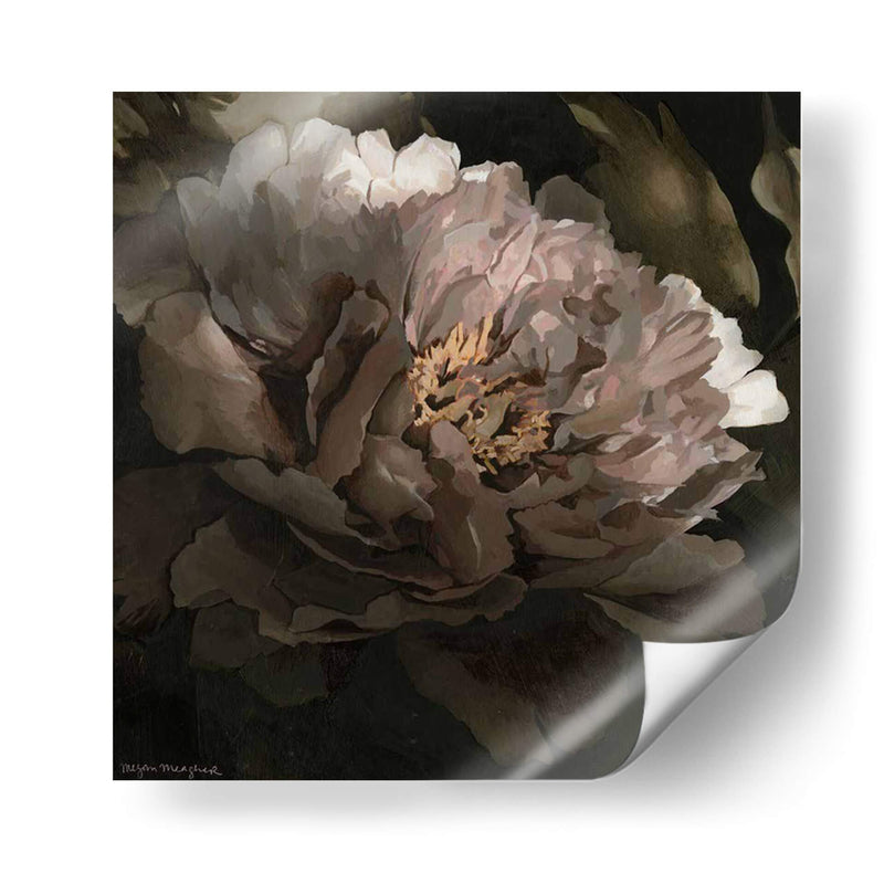 Luna Lit Peony I - Megan Meagher | Cuadro decorativo de Canvas Lab