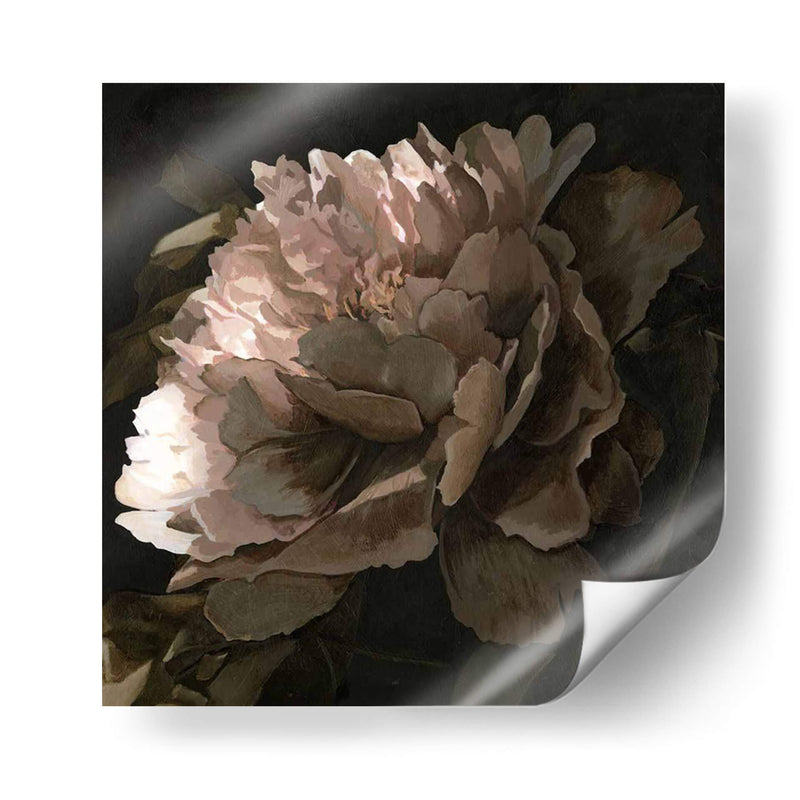 Luna Lit Peony Ii - Megan Meagher | Cuadro decorativo de Canvas Lab