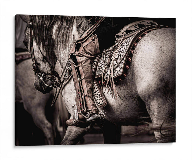 Charro - Ariadne Contreras | Cuadro decorativo de Canvas Lab
