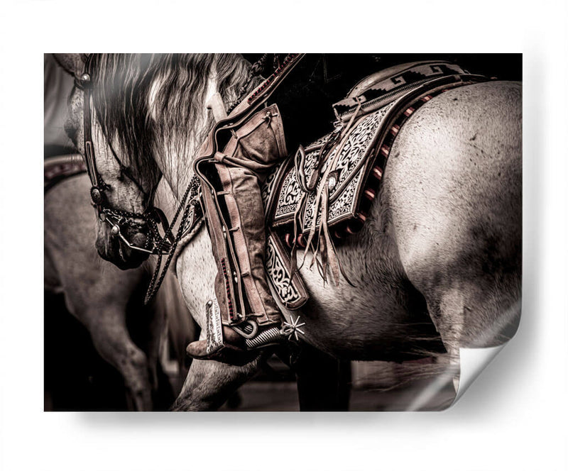 Charro - Ariadne Contreras | Cuadro decorativo de Canvas Lab