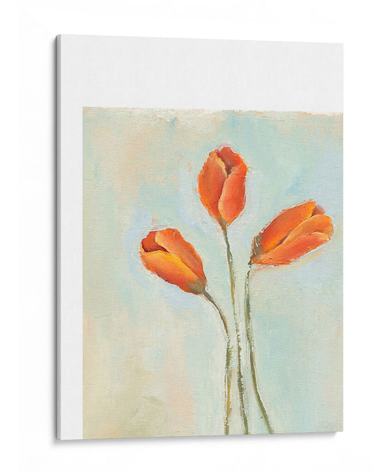 Tulipanes Pintados Ii - Liz Nichols | Cuadro decorativo de Canvas Lab