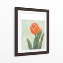 Tulipanes Pintados Iv - Liz Nichols | Cuadro decorativo de Canvas Lab