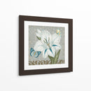 Colección De Romance Garden I - June Erica Vess | Cuadro decorativo de Canvas Lab