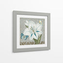 Colección De Romance Garden I - June Erica Vess | Cuadro decorativo de Canvas Lab