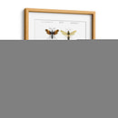 Bees Antiguas I - Blanchard | Cuadro decorativo de Canvas Lab