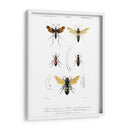 Bees Antiguas I - Blanchard | Cuadro decorativo de Canvas Lab