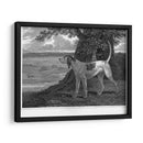 Ciervo - John Scott | Cuadro decorativo de Canvas Lab