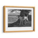 Ciervo - John Scott | Cuadro decorativo de Canvas Lab