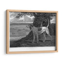 Ciervo - John Scott | Cuadro decorativo de Canvas Lab