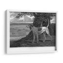 Ciervo - John Scott | Cuadro decorativo de Canvas Lab