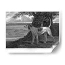 Ciervo - John Scott | Cuadro decorativo de Canvas Lab