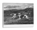 Foxhounds - John Scott | Cuadro decorativo de Canvas Lab